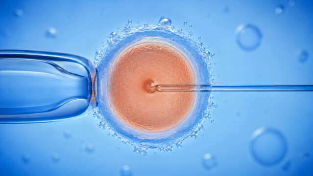 A close-up view of an egg cell being injected with a needle in a laboratory setting. In vitro fertilization.  The background is blue with bubbles, emphasizing a scientific theme. Top view