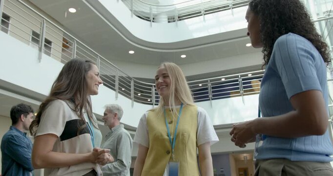 Business Women Meeting in Office Lobby and Shaking hands during introduction