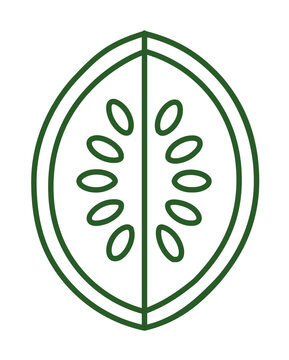 Minimalist green melon half vector icon illustration with clean line seeds, symmetrical rind outline, fresh summer fruit design for menus, packaging, grocery labels, healthy food graphics