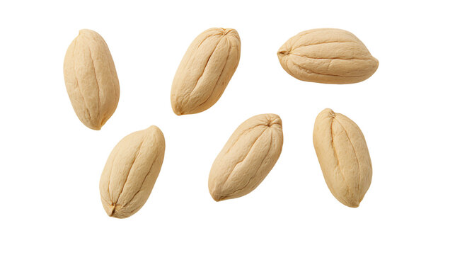 Five whole unshelled peanuts with textured beige shells