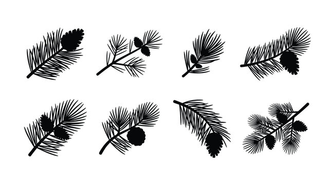 Evergreen pine branch and fir cone silhouette vector set isolated on white background. Black winter spruce twig icons, coniferous cedar needles, and christmas forest decorations.