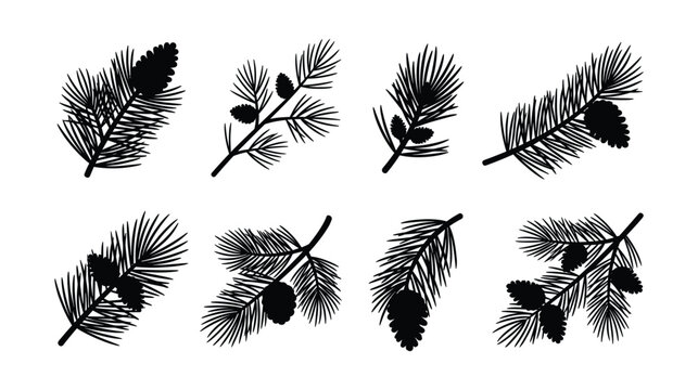 Pine tree branch and fir cone silhouette vector set isolated on white background. Black winter forest botanical icons of cedar twigs, spruce needles, and evergreen christmas decorations.