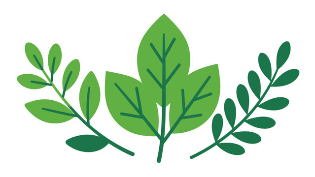 vector illustration of three stylized green leaves with detailed vein patterns and natural design elements