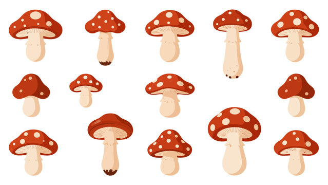 vector illustration of various red mushrooms with white spots in different sizes and positions on a clean background
