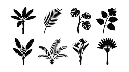 Fototapeta premium Tropical jungle tree and palm silhouette vector set isolated on white background. Black exotic botanical icons of banana plants, monstera stems, hibiscus, and bird of paradise flowers.