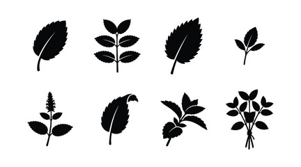 Mint leaf and lemon balm silhouette vector set isolated on white background. Black aromatic culinary herb icons of fresh spearmint, peppermint sprouts, and organic tea ingredients. © selena