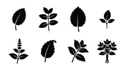 Mint leaf and lemon balm silhouette vector set isolated on white background. Black aromatic culinary herb icons of fresh spearmint, peppermint sprouts, and menthol tea ingredients. © selena