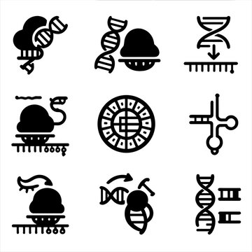 Codon icon chart transcription process strand biology dna molecular trna ribosome vector