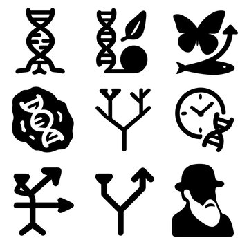 Clock icon vector trait icons gene model genetics genome evolutionary divergence tree
