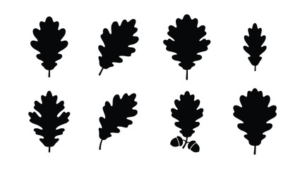 Oak leaf and acorn silhouette vector set isolated on white background. Black botanical icons of forest tree foliage for autumn thanksgiving decorations and vintage rustic branding. © selena