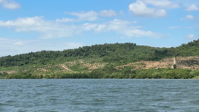 A blue sky stretches over the calm coastal waters. Green hills slope gently toward the water's edge. Trees line the hillsides, interspersed with patches of open land resulting from deforestation.
