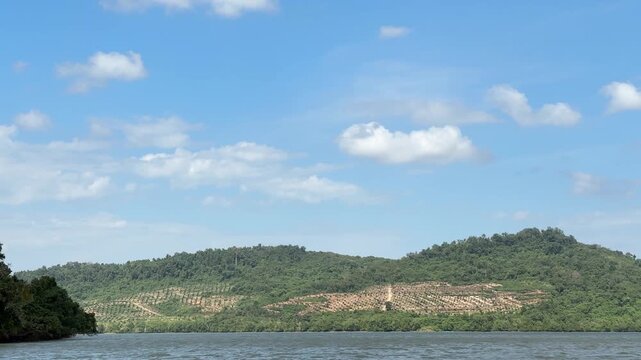 A blue sky stretches over the calm coastal waters. Green hills slope gently toward the water's edge. Trees line the hillsides, interspersed with patches of open land resulting from deforestation.