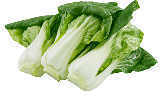 Fresh bok choy vegetable stalks with vibrant green leaves, isolated on transparent background