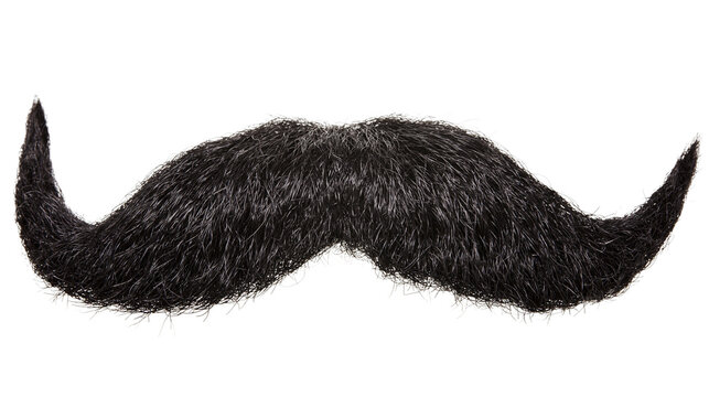 Fluffy black handlebar mustache, isolated on transparent background