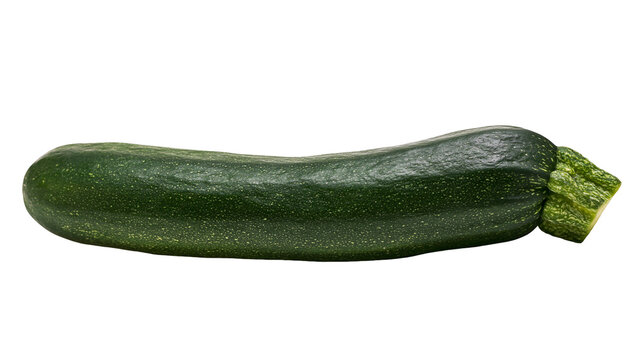 Dark green zucchini with light speckles, isolated on transparent background