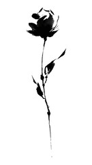 Obraz premium PNG Elegant monochrome floral art