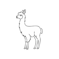 Fototapeta premium Simple line drawing of a llama standing and facing left with a white background