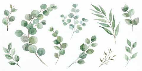 Watercolor greenery collection with eucalyptus branches and leaves for wedding stationery plant life watercolor painting hand painted © Manjur