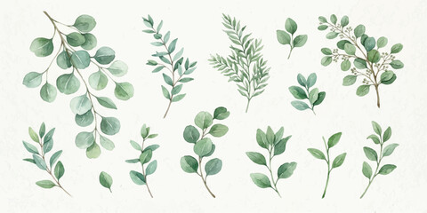 Watercolor eucalyptus greenery arrangement elements and leaves set with watercolor painting hand painted plant life eucalyptus © Manjur