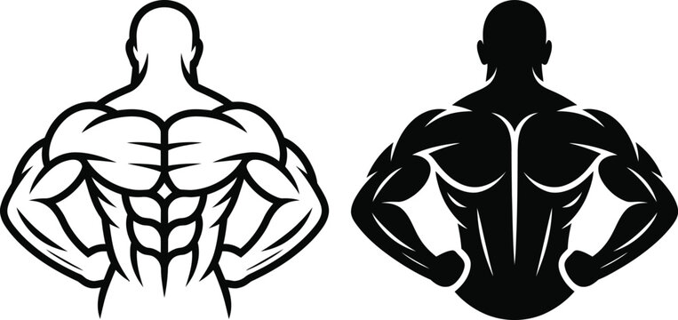 Human back muscles anatomy silhouette and outline set with bodybuilder physique strength training trapezius muscular exercise masculine silhouette illustration development physical