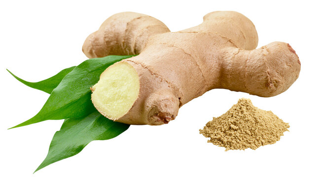 Fresh ginger root with green leaves and powder, isolated on transparent background