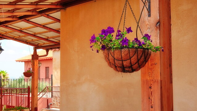 Natural Garden Details With Flowers Stone Textures And Rustic Outdoor Decor