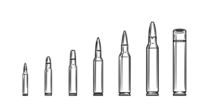 Bullets and Shell Casings Arranged in a Row, Showcasing Different Sizes and Styles Featuring Bullet, Casing, Ammunition