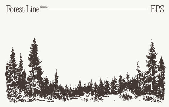 Dense forest tree line, hand drawn pine trees sketch illustration