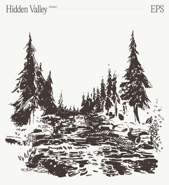 Hidden forest valley with rocky stream, hand drawn pine trees sketch illustration