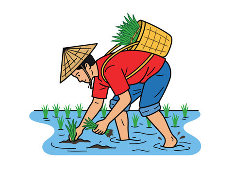 Traditional Asian Rice Farmer Planting Seedlings in Flooded Paddy Field Agriculture Illustration