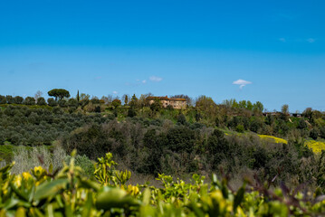 Obraz premium Wide landscape view of rolling Tuscan hills with vineyards and countryside vegetation under a clear blue sky. A peaceful rural panorama near Montaione, Italy.