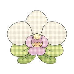 Obraz premium PNG Checkered orchid flower illustration