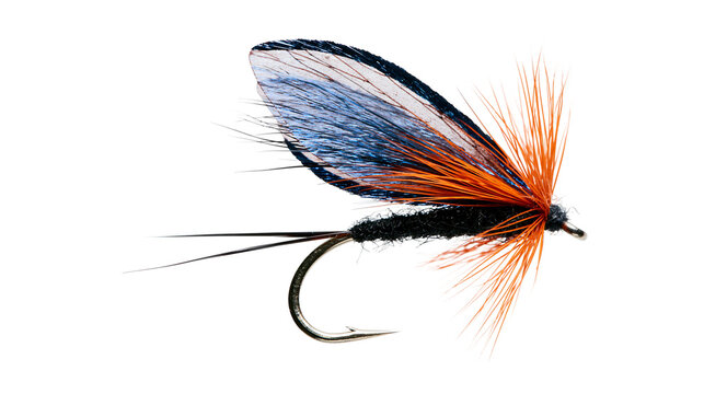 Detailed fishing fly lure with blue wings and orange hackle, isolated on transparent background