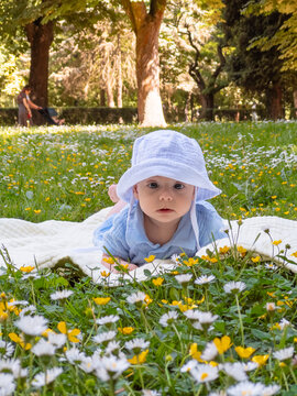 Cute baby on blanket in flower meadow park portrait