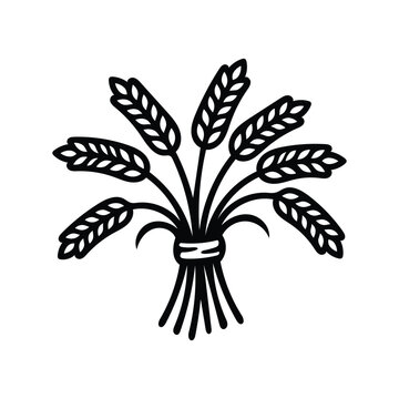 Wheat sheaf line illustration for harvest festival and organic farming.