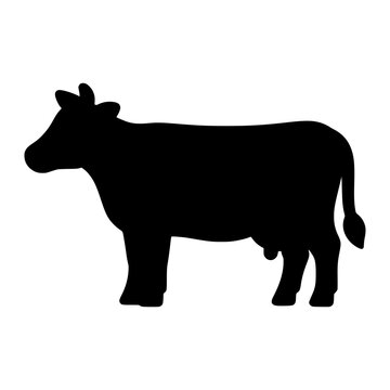 cow silhouette