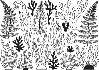 Obraz premium Black and white of various seaweed and coral ocean underwater marine life