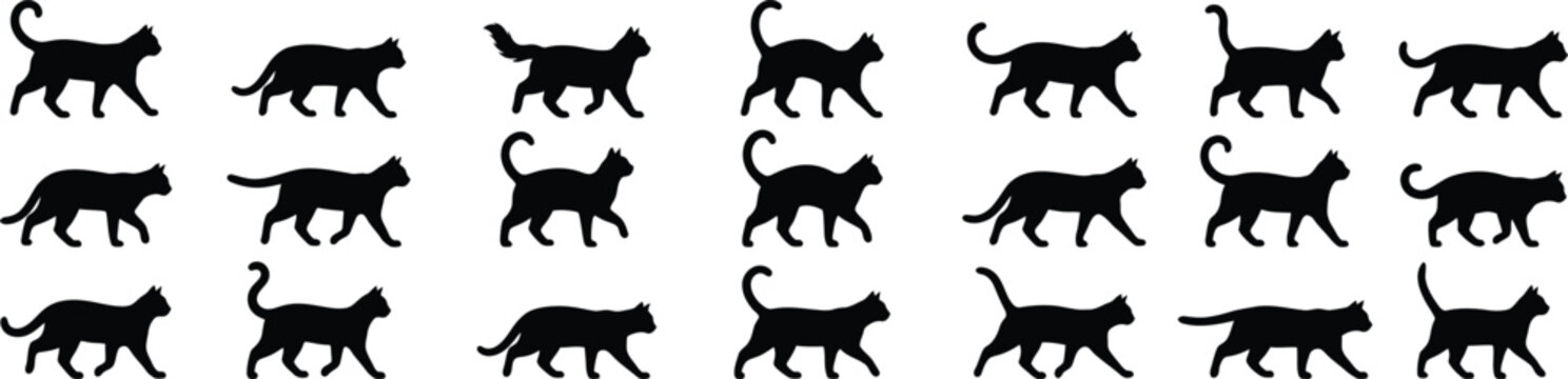 Halloween black cat silhouettes oct 31 spooky design elements