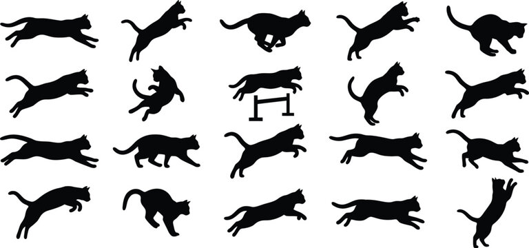 Halloween black cat silhouettes oct 31 spooky design elements