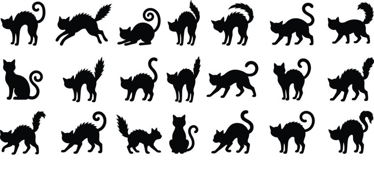 Halloween black cat silhouettes oct 31 decorations spooky design elements