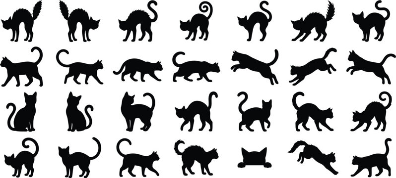 Halloween black cat silhouettes collection for oct 31 decorations spooky designs