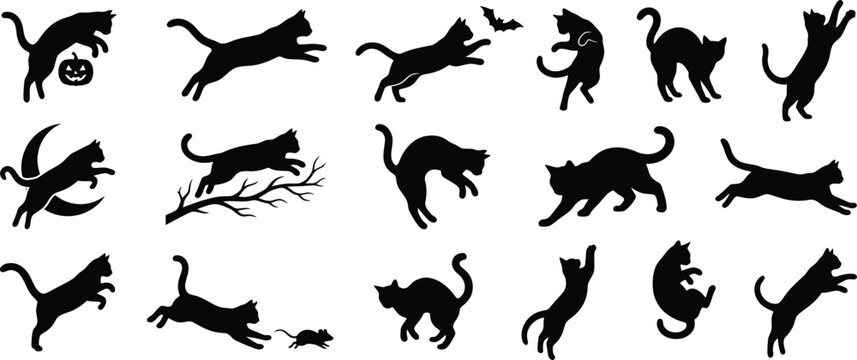 Halloween black cat silhouettes for oct 31 decorations spooky designs