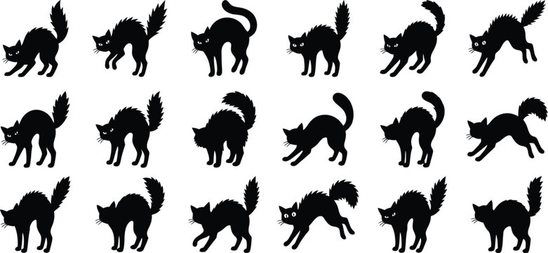Halloween black cat silhouettes oct 31 spooky vector graphics for autumn designs