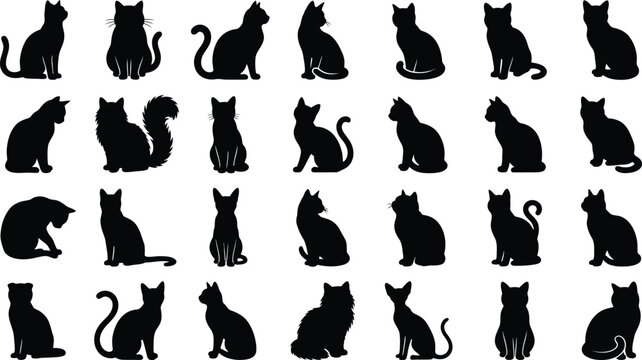 Halloween black cat silhouettes oct 31 decorations spooky design elements