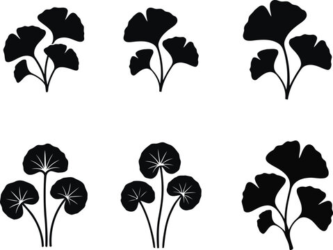 Ginkgo Leaf and Botanical Plant Silhouette Vector Collection