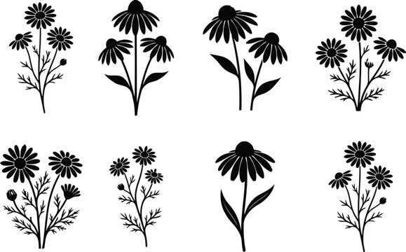 Wildflower and Daisy Botanical Silhouette Vector Collection