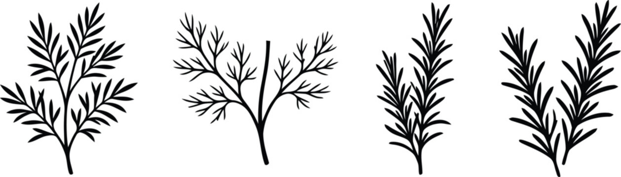 Botanical Branch and Herb Foliage Silhouette Collection