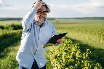 Fototapeta premium Senior man with glasses holding clipboard in vineyard, scratching head while observing grapevines under a clear blue sky with rolling green hills in the background