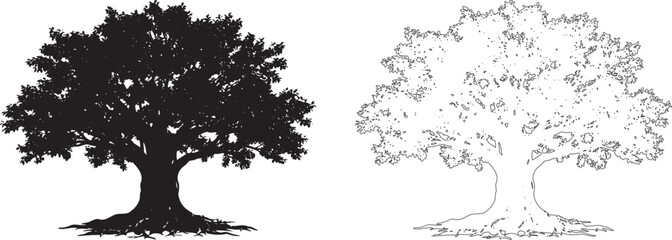 Tree Silhouette and Outline Vector Set with Exposed Roots, Black Woodland Nature Illustration Isolated on White Background © AktarHussain