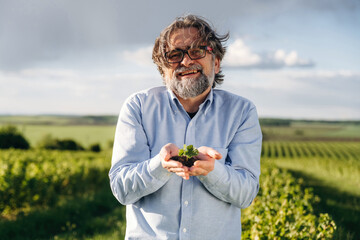 Fototapeta premium Mature man with gray hair and glasses holding a small plant in hands, standing in a lush green vineyard under a partly cloudy sky